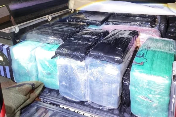 Detienen a dos hombres en la ruta 38 y secuestran 355 kilos de hojas de coca