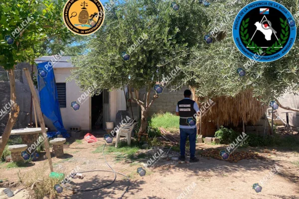 Investigaciones secuestró plantas de Cannabis en Aimogasta