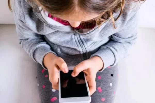 La Provincia avanza en la lucha contra el cyberbullying