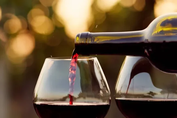 24 de noviembre: Día del vino argentino