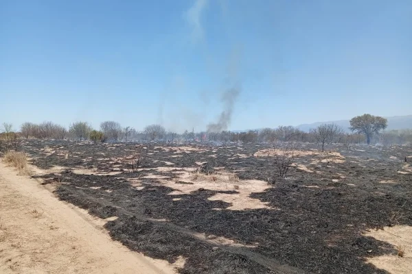 Dos incendios forestales continúan activos en el interior provincial