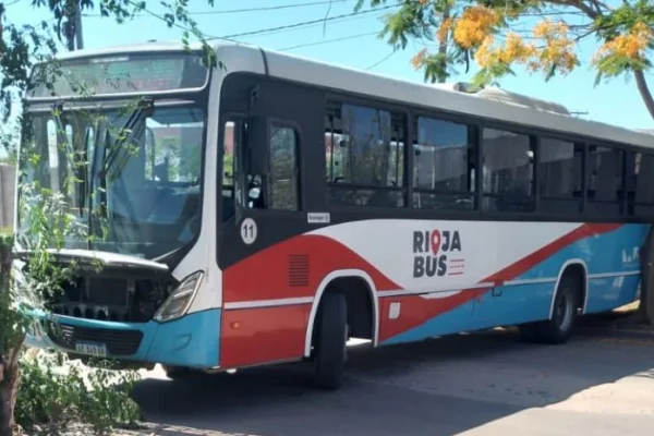 Chofer de un colectivo, no puso el freno de mano y terminó contra un árbol