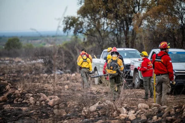Continúan las tareas en el incendio de la zona Sur