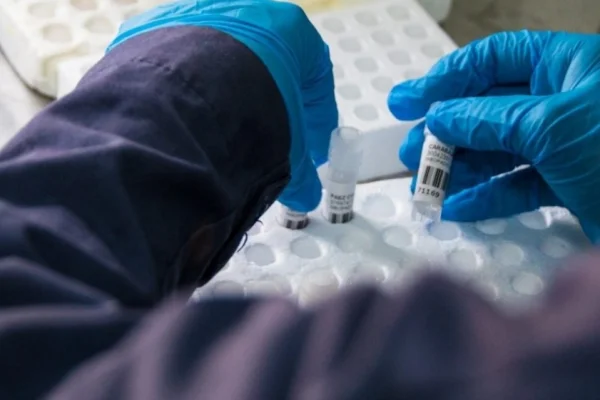 Formosa en alerta: confirman 373 casos de COVID en una semana y piden reforzar medidas de prevención