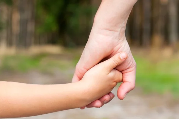 Buscan familia de acogimiento para un pequeño de 5 años de Chilecito