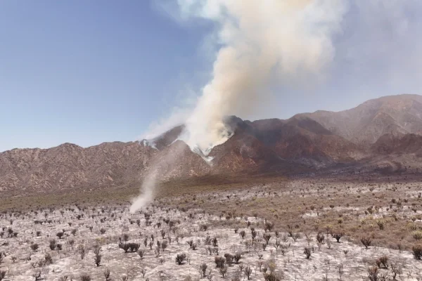 Un helicóptero y 130 brigadistas combaten los incendios, hoy se suman refuerzos