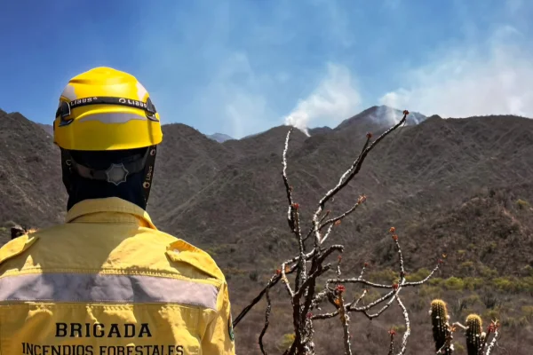 Brigadistas trabajan para evitar que las llamas bajen al llano