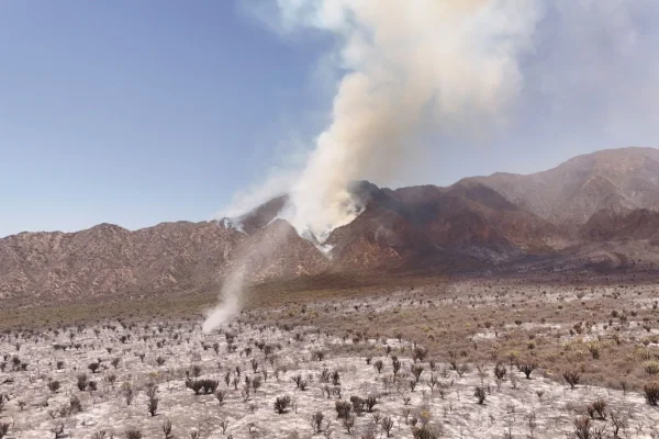 El intendente Molina habló sobre los incendios: “una herida casi irreparable” y anunció una convocatoria para reforestar la ciudad