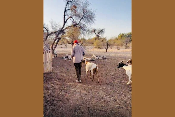 El hombre en el valle olvidado
