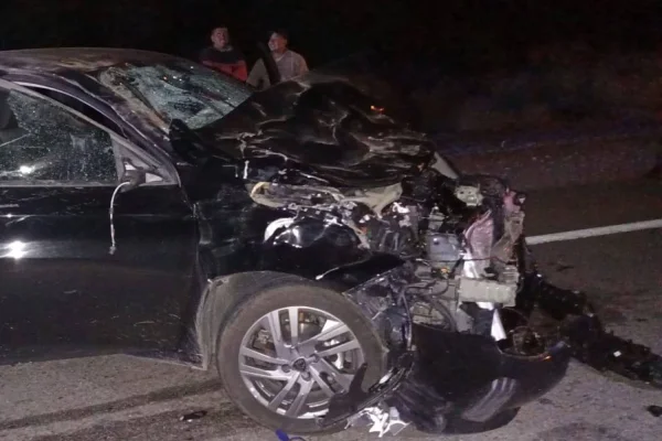 Animal suelto casi provoca una tragedia en Ruta N° 74
