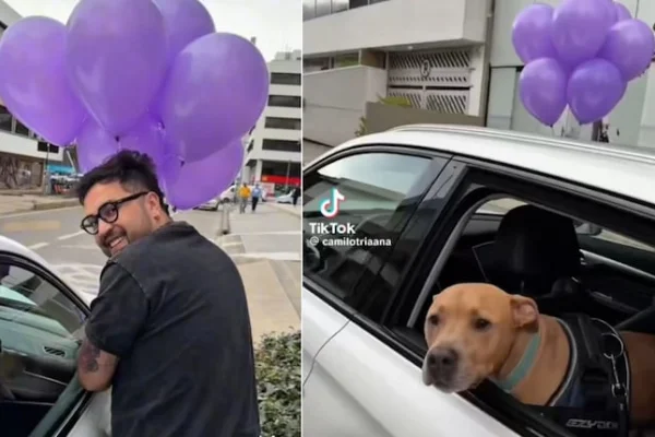Su perro se curó de cáncer y el festejo conmovió a millones en TikTok