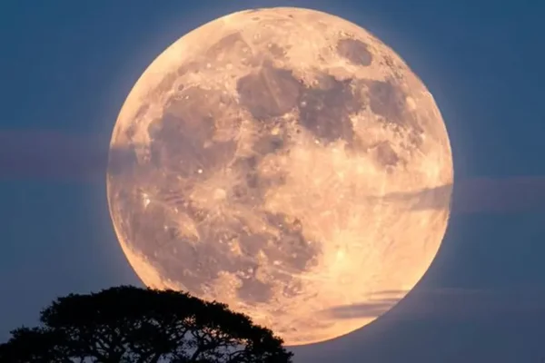 Superluna de diciembre: cuándo se podrá ver este fenómeno