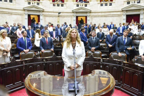 Juraron los diputados nacionales riojanos