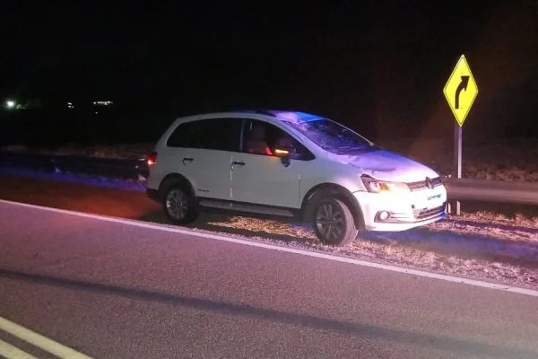 Un caballo generó un accidente en Huaco