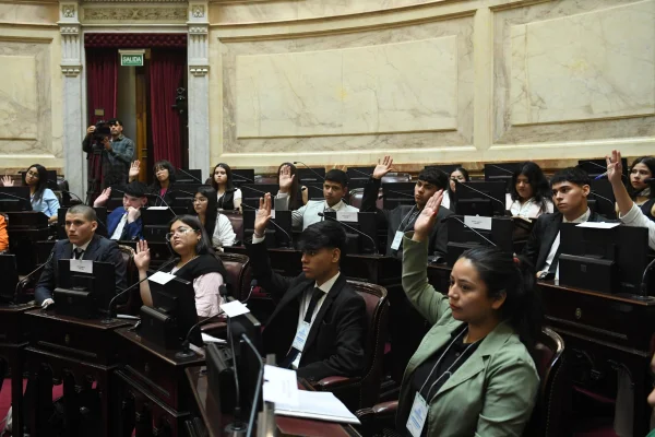 Jóvenes riojanos fueron senadores por un día