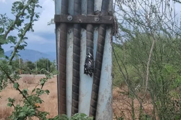 Por hechos de vandalismo: la zona Este de la Capital se encuentra sin electricidad