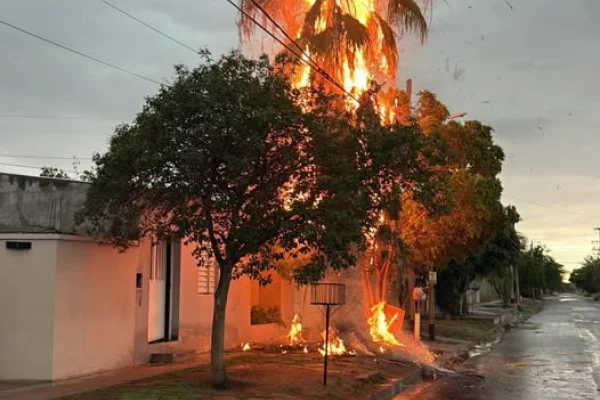 Un rayo cayó en una palmera y provocó un incendio