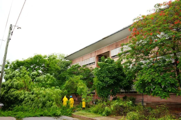 La Municipalidad trabaja en los sectores afectados por la tormenta