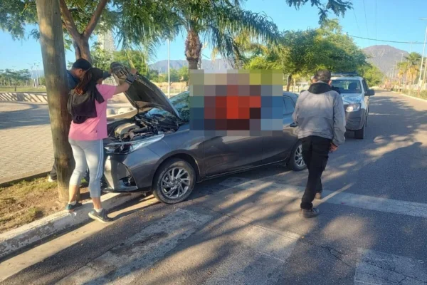 Se bajó a caminar y el auto chocó