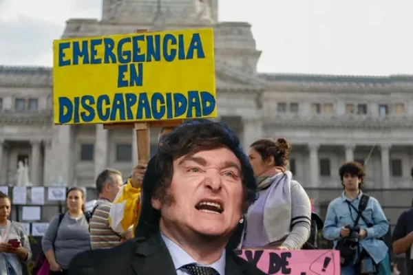 Las razones por las que la Justicia ordenó aplicar de inmediato la ley de Emergencia en Discapacidad