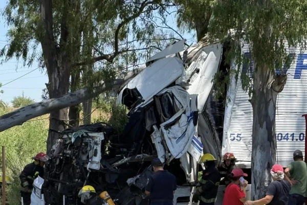 Un camión se estrelló contra unos árboles y de milagro no fue una tragedia