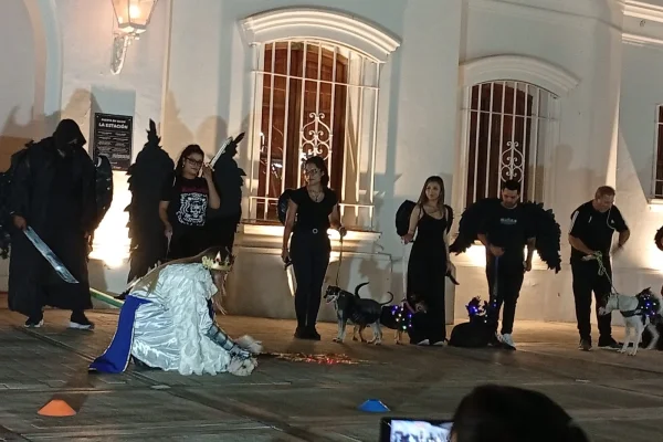 La Escuela de Adiestramiento Canino lleva 920 egresados