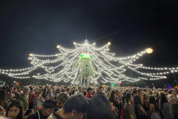 Rosario encendió su emblemático árbol de Navidad