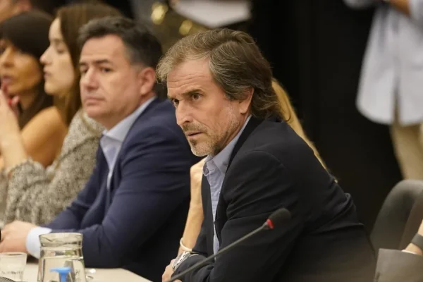 Presupuesto: Benegas Lynch fue ratificado como presidente de la comisión y buscan un debate exprés