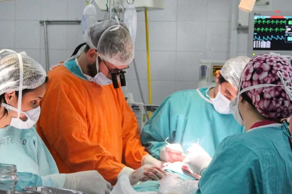 Argentina superó la cifra histórica de donantes de órganos y de trasplantes realizados en el país