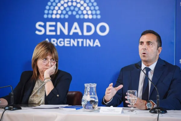 Senado: el oficialismo consiguió dictamen para la reforma laboral y se tratará el 10 de febrero