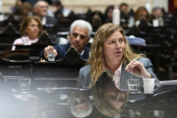 Gabriela Pedrali: “El Presupuesto aprobado vuelve a darle la espalda a La Rioja”