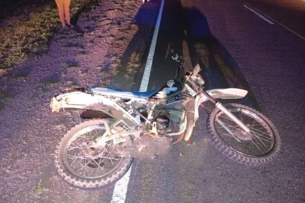 Un animal suelto en la Ruta 28 causó la muerte a motociclista