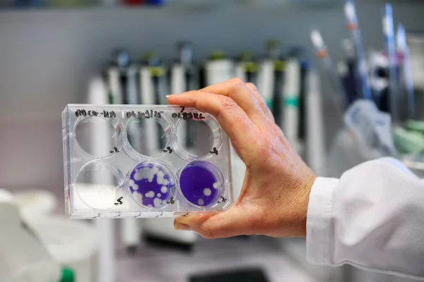 La ANLIS Malbrán detectó tres casos de influenza A (H3N2) subclado K en Argentina
