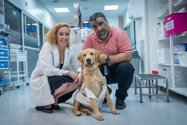 Tor el perro de apoyo terapéutico que conquistó a todos en una clínica de Monte Grande