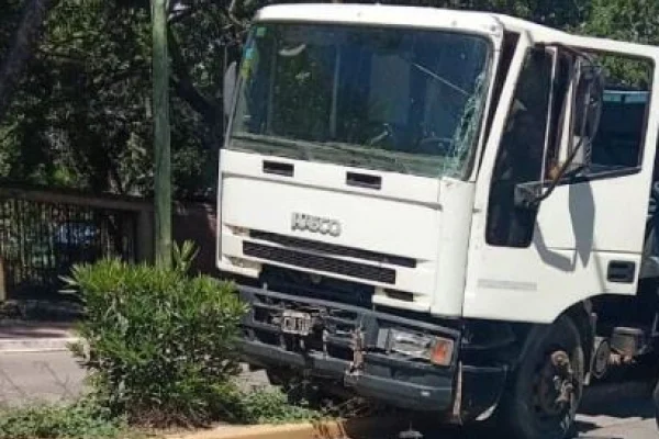 Un camión tuvo una falla mecánica y terminó contra un poste de luz