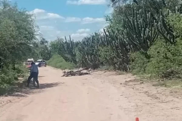 Catamarca: choque entre motos dejó un muerto y dos heridos