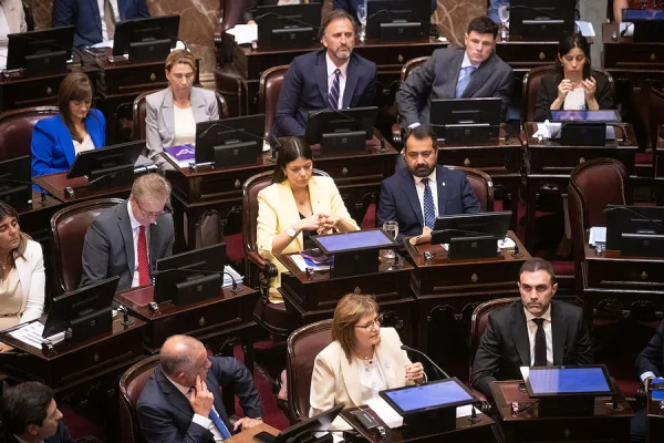 Los senadores aliados y del peronismo que apoyaron el cuestionado Capítulo 2