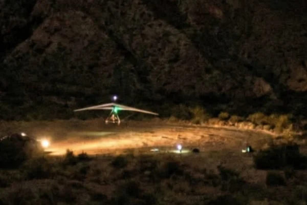 Apareció un aladelta extraviado