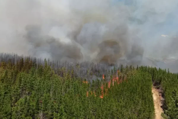 Incendio forestal en zona turística de Chubut arrasó con viviendas y vehículos