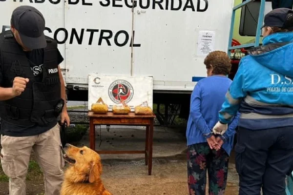 Abuela transportaba más de 3 kilos de droga en piñatas de cumpleaños