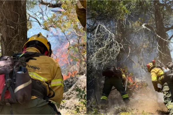 El Gobierno Nacional desplegó casi 300 brigadistas y 15 medios aéreos por los incendios en el sur