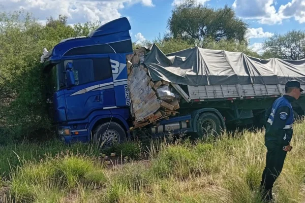 Se le reventó un neumático y terminó sobre un campo
