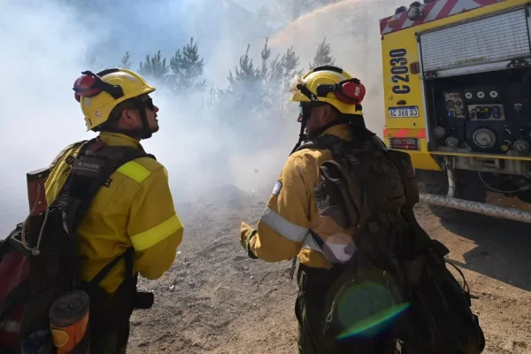 Chubut: el Gobierno asegura que 22 de los 32 incendios están “completamente extinguidos”