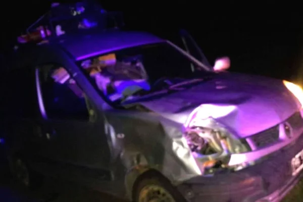 Una camioneta chocó con animal suelto en la ruta y solo hubo daños materiales