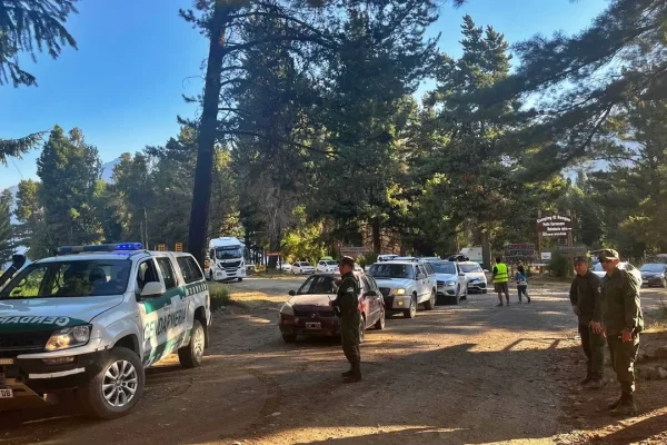 Piden declarar en emergencia la zona patagónica afectada por incendios forestales