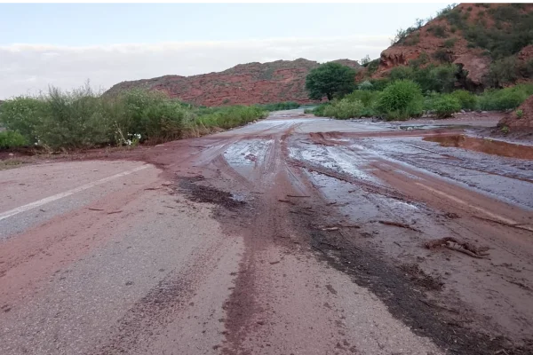 Corte total en la Ruta Nacional 40 entre Villa Unión y la Cuesta de Miranda