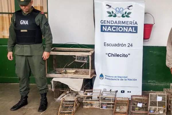 Rescataron aves en cautiverio