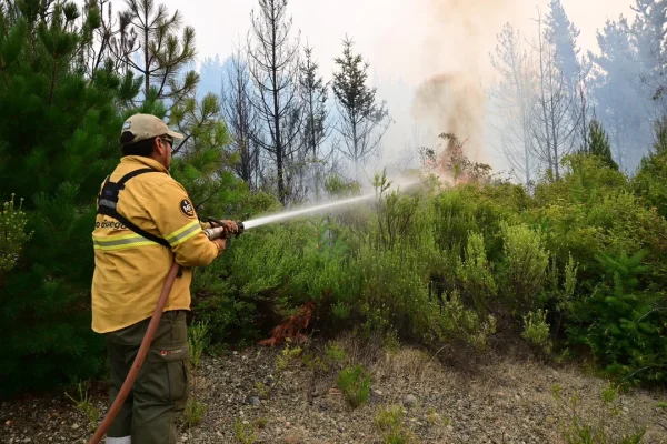 “El incendio en Puerto Patriada está contenido en un 85 por ciento”, dijo el gobernador Torres