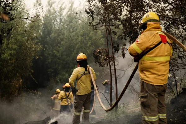 Incendios en Chile: autoridades confirman hasta 19 víctimas fatales en Ñuble y Biobío