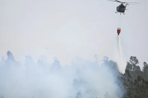 El Gobierno ofreció asistencia a Chile ante los incendios forestales